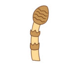 つくしのイラストのかわいい書き方 簡単に初心者でも描ける