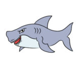 サメのイラストの簡単な書き方 初心者でも描くコツは?