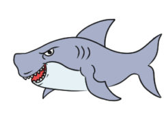 サメのイラストの簡単な書き方 初心者でも描くコツは イラストの簡単な書き方あつめました