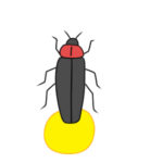 蛍のイラストのかわいい書き方 簡単に描くポイントは?
