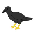 カラスのイラストのかわいい書き方 簡単に描くコツは?