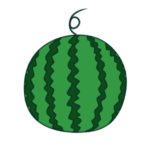 スイカのイラストのかわいい書き方 簡単に描くポイントは?