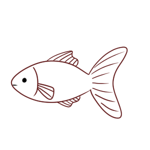 動物画像のすべて トップ100 金魚 イラスト 書き方 簡単