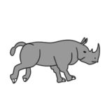 サイの書き方 イラストを簡単に描くポイントは?