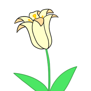 百合の書き方は 花のイラストを簡単に描くポイントは? | イラストの簡単な書き方あつめました