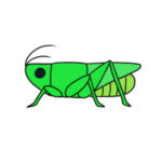 バッタのイラストの簡単な書き方 初心者にも描ける?