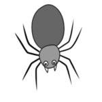 蜘蛛のイラストの簡単な描き方は 初心者にも描ける?