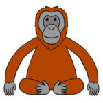 オランウータンのイラストの簡単な書き方 手書きで描くポイントは?
