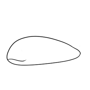 ナマズ イラスト 簡単