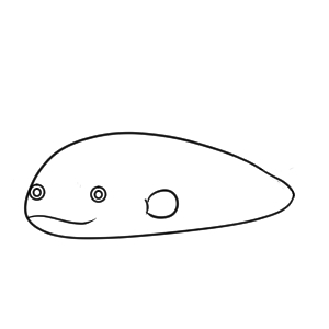 ナマズ イラスト 簡単