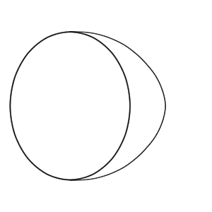 キウイ イラスト 簡単