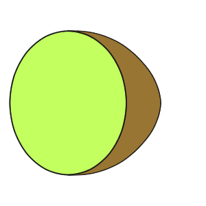 キウイ イラスト 簡単