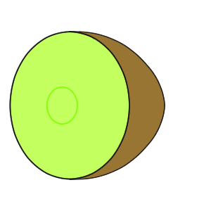 キウイ イラスト 簡単