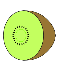 キウイ イラスト 簡単