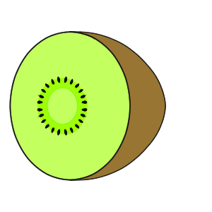 キウイ イラスト 簡単