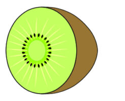 キウイ イラスト 簡単