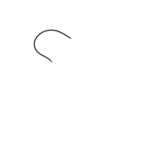 キウイ イラスト 手書き 書き方