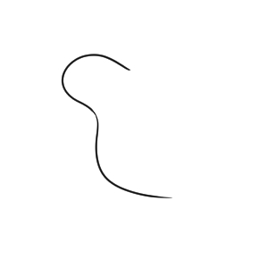 キウイ イラスト 手書き 書き方