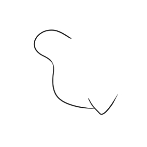 キウイ イラスト 手書き 書き方