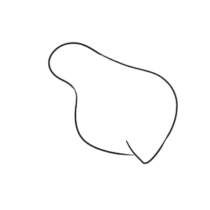 キウイ イラスト 手書き 書き方