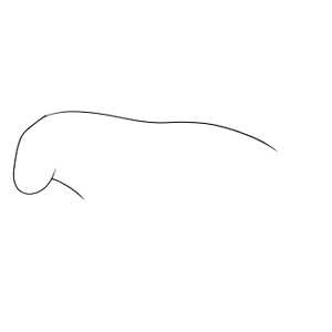 ジュゴン イラスト 簡単