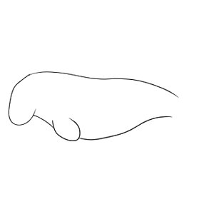 ジュゴン イラスト 簡単