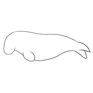ジュゴン イラスト 簡単
