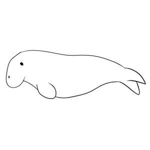 ジュゴン イラスト 簡単