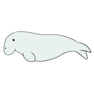 ジュゴン イラスト 簡単