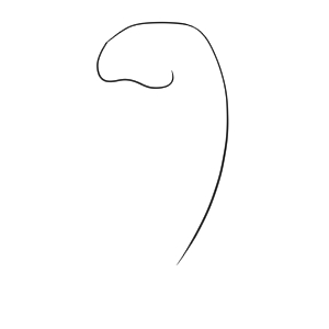 ジュゴン イラスト 簡単