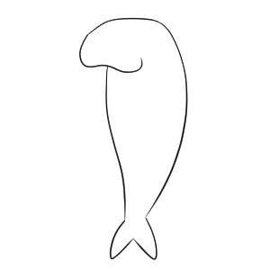 ジュゴン イラスト 簡単