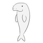 ジュゴンのイラストの簡単な書き方 手書きで描くポイント!