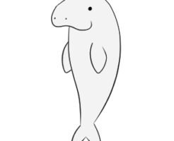 ジュゴン イラスト 簡単