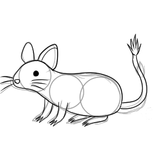 デグー イラスト 簡単