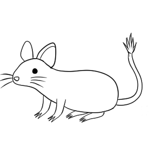 デグー イラスト 簡単