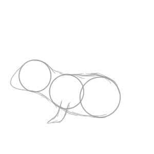 デグー イラスト 簡単