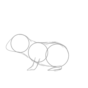 デグー イラスト 簡単