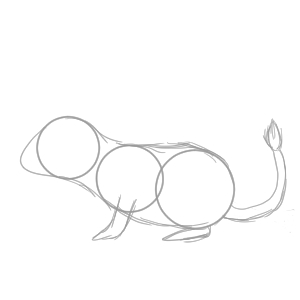 デグー イラスト 簡単